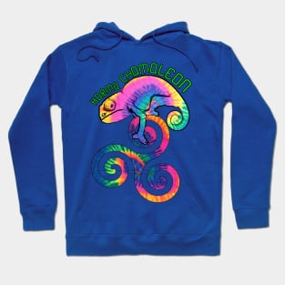 Karma Chamaleon Hoodie